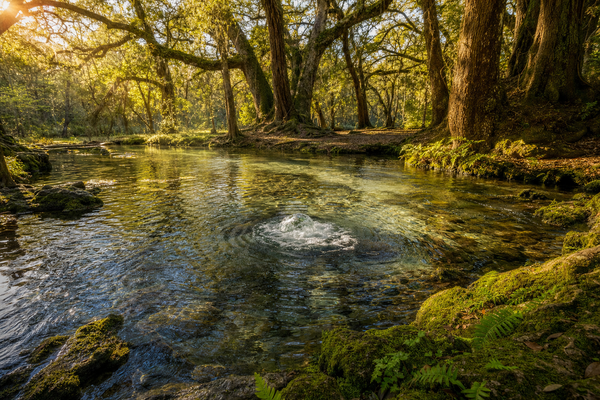 Twenty-Seven Springs: How Union Springs, Alabama Got Its Name